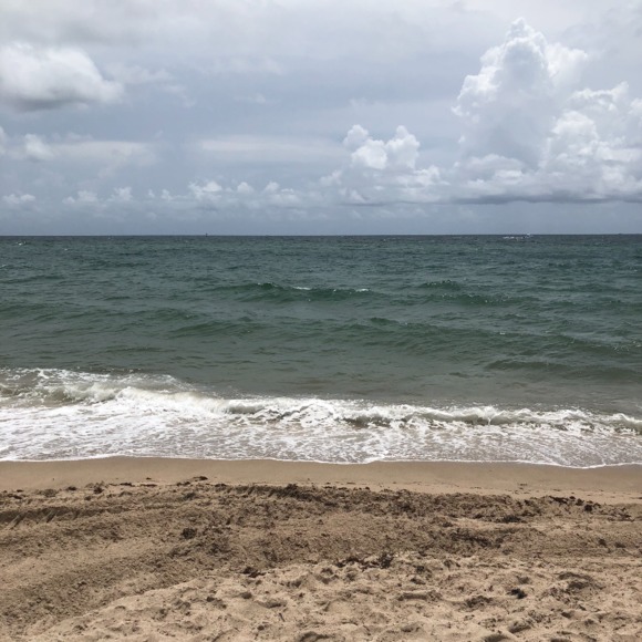 Meet your Posher, Cari - Picture 1 of 1